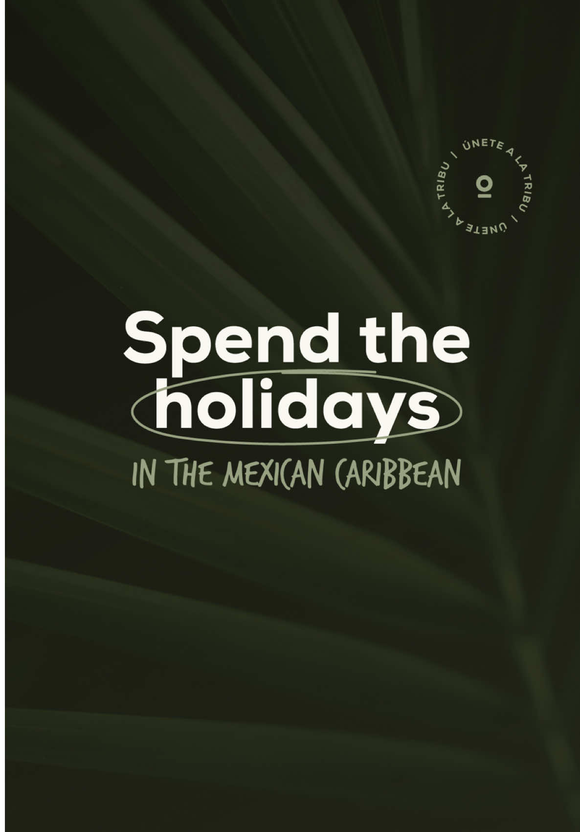 @nomadictribe.mx