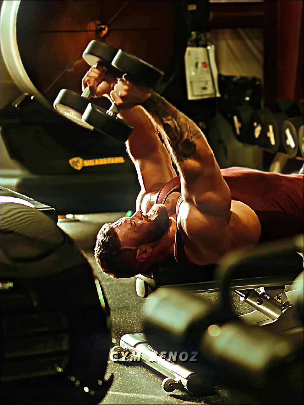 @Gym Zenoz