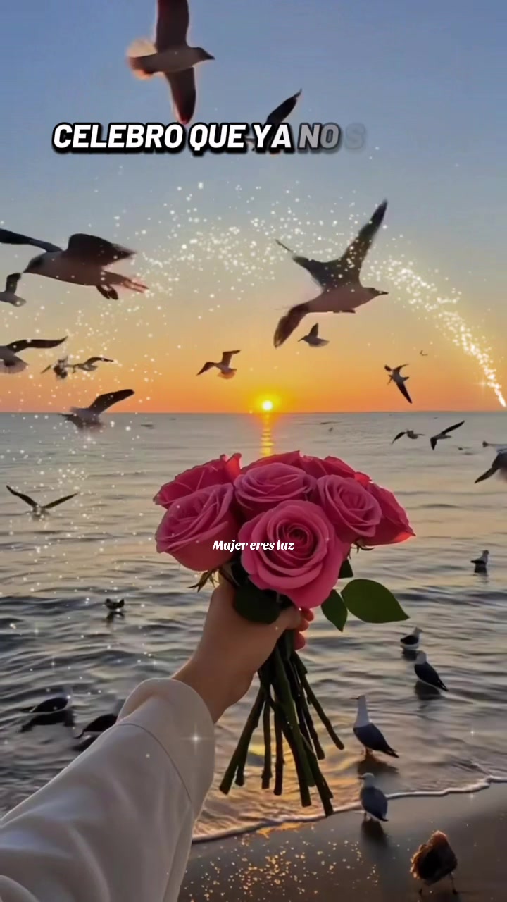 @🌸 Mujer eres luz ✨