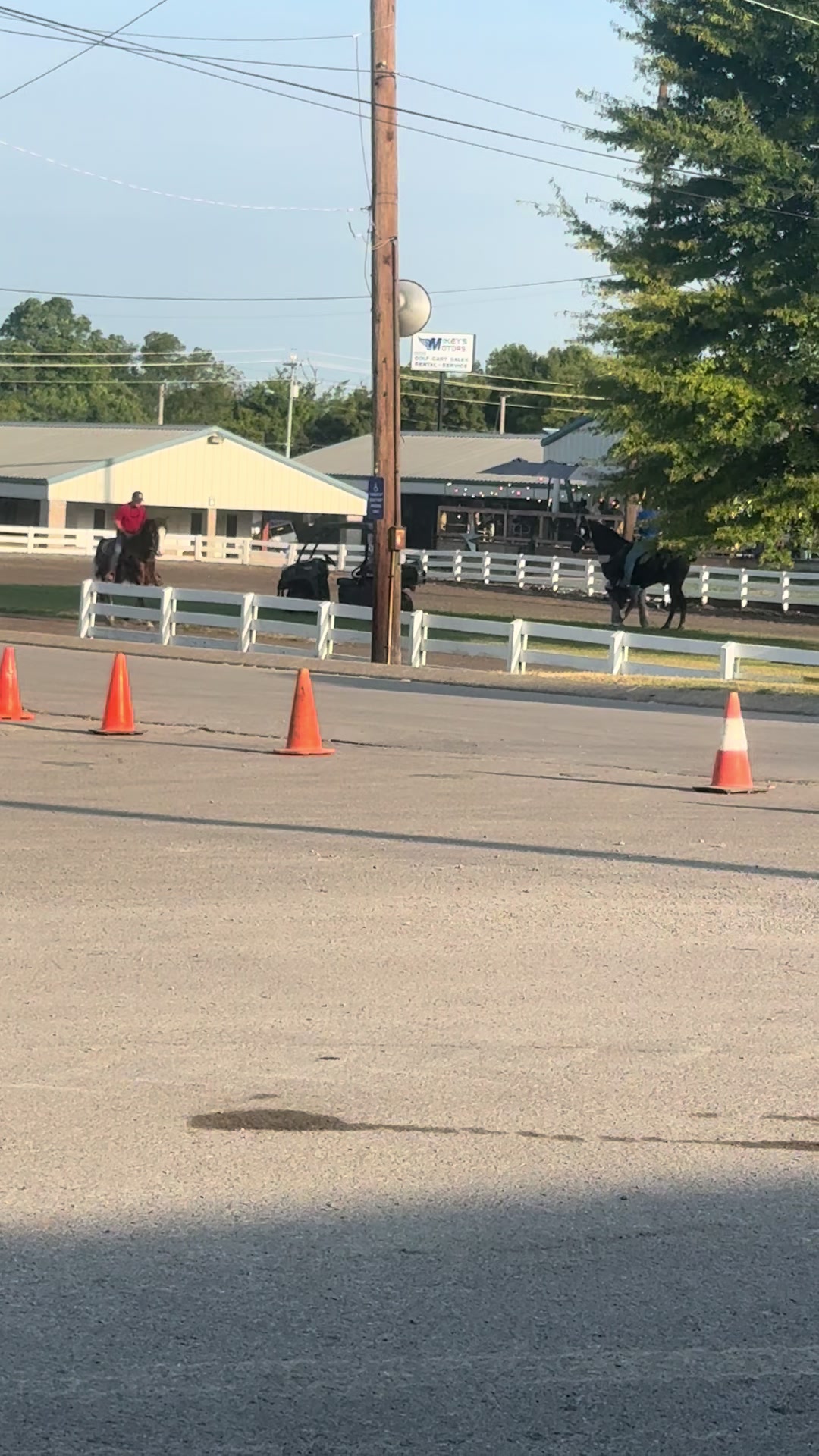 @EightyDollarStables
