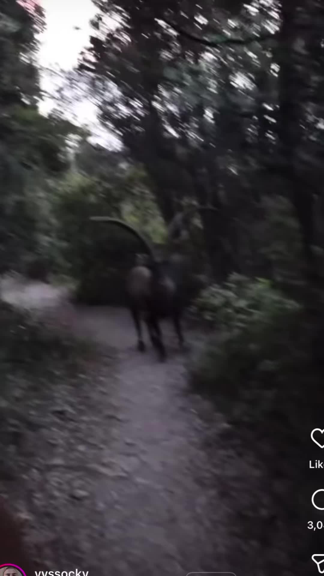 @🦌AppleJacked🐟
