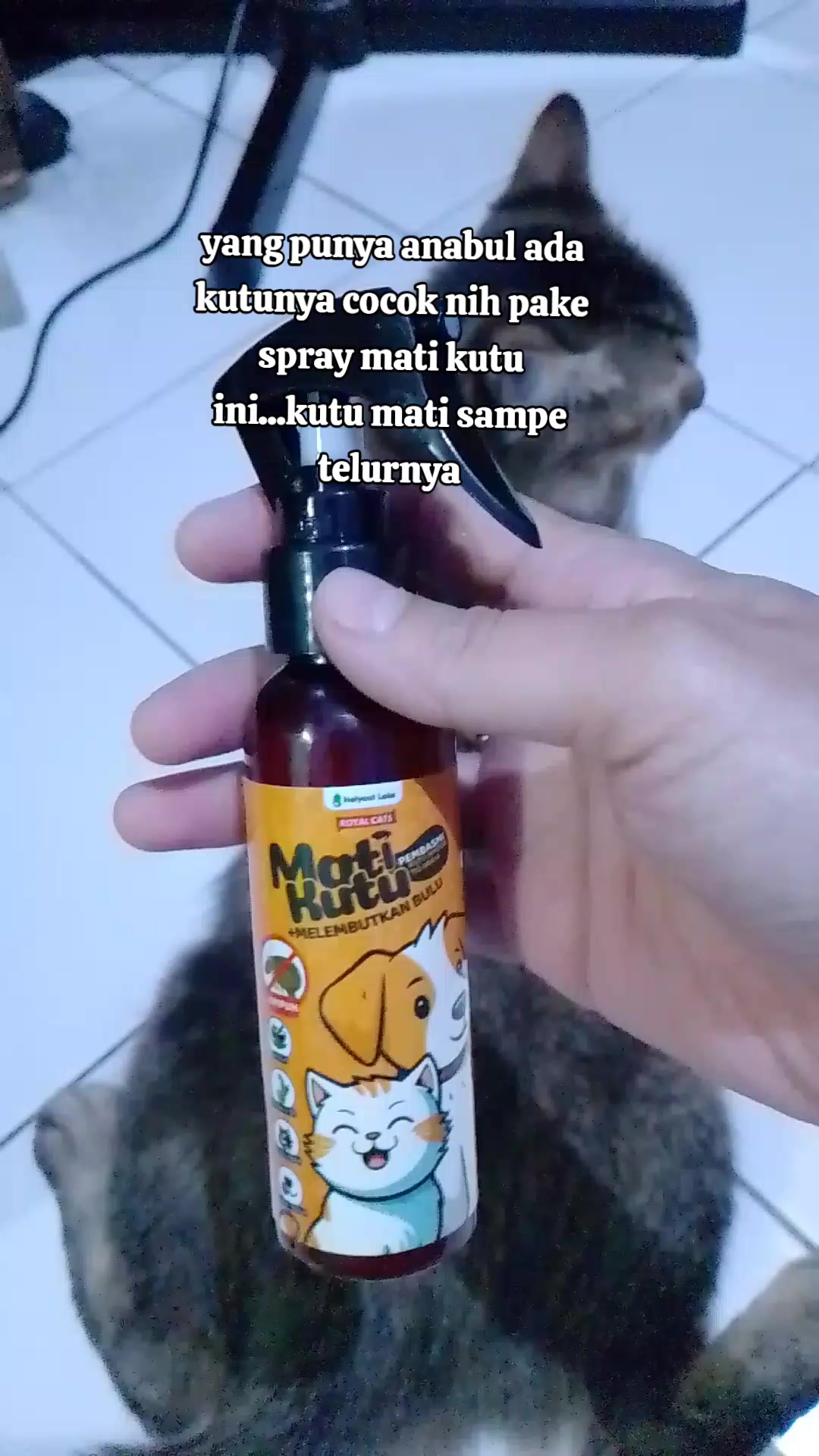 @binong2616