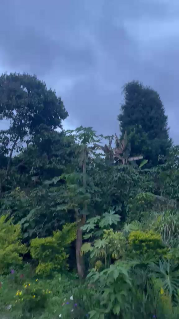 @ꪗꪮᦔꪖ᥅ꪜﺃᦓ ᥅ꪊﺃɀ 00