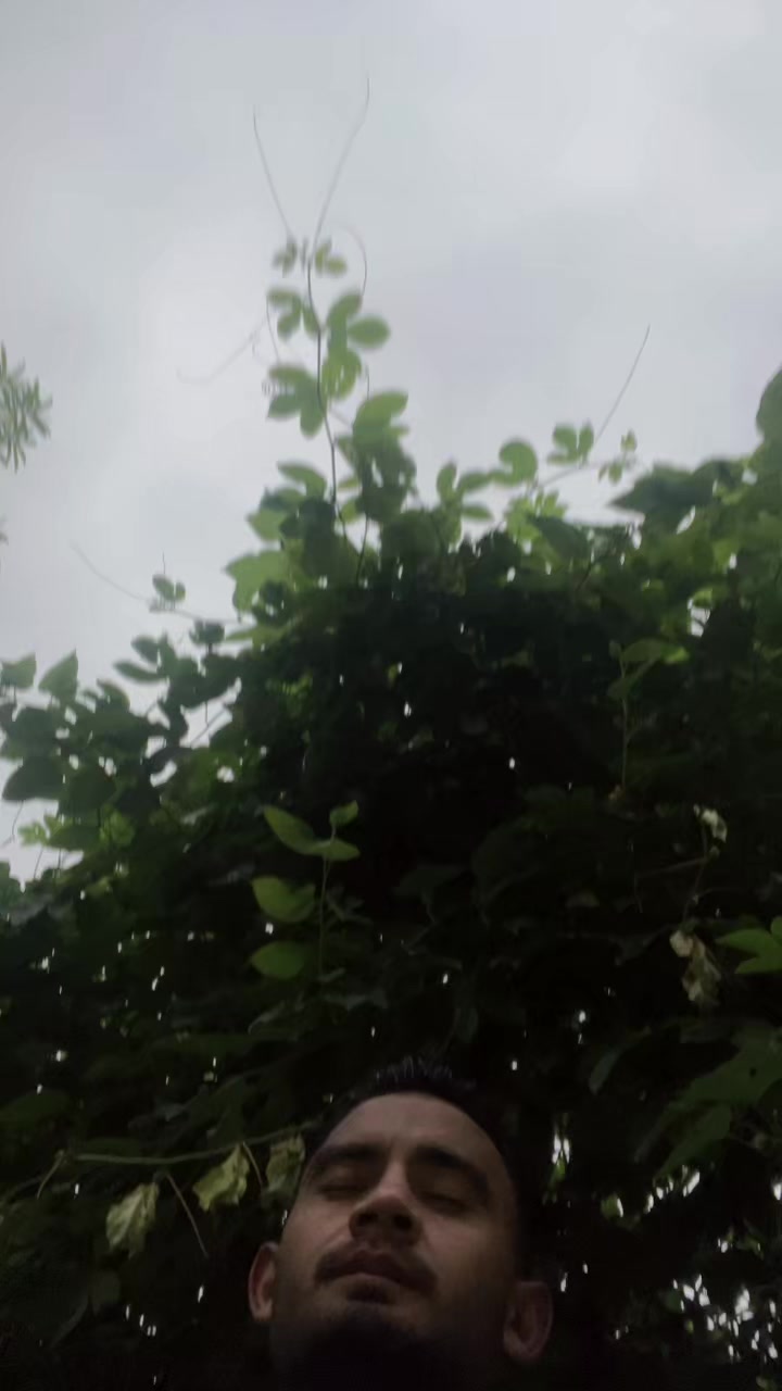 @umeshthapa9745