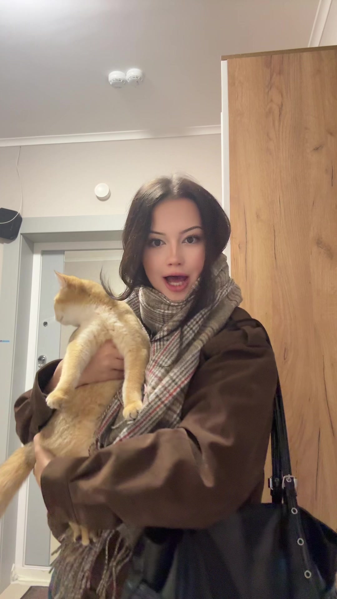@тгк:крутая кошка