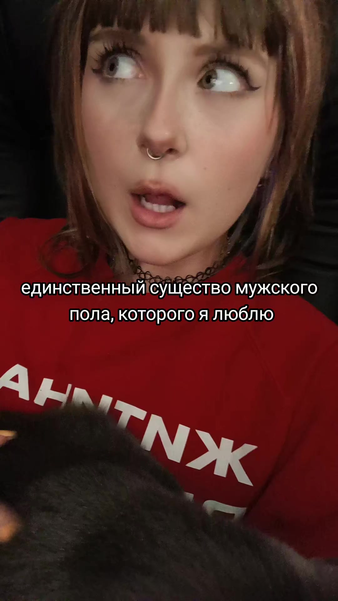 @тгк:🫐𝖛𝖎𝖕_𝖈𝖆𝖙𝟏𝟑𝟔