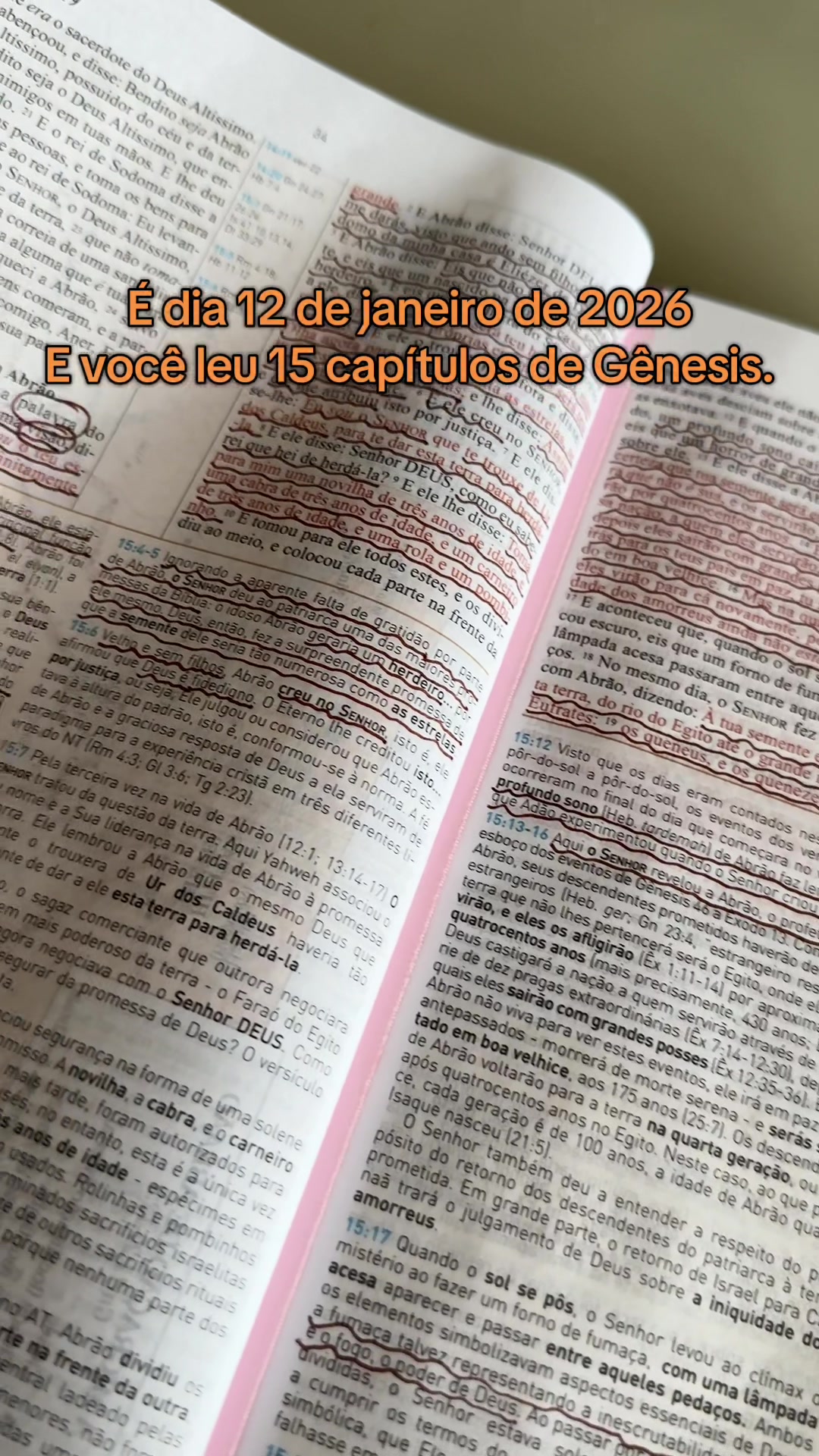 @Mi&eacute;len Jangada