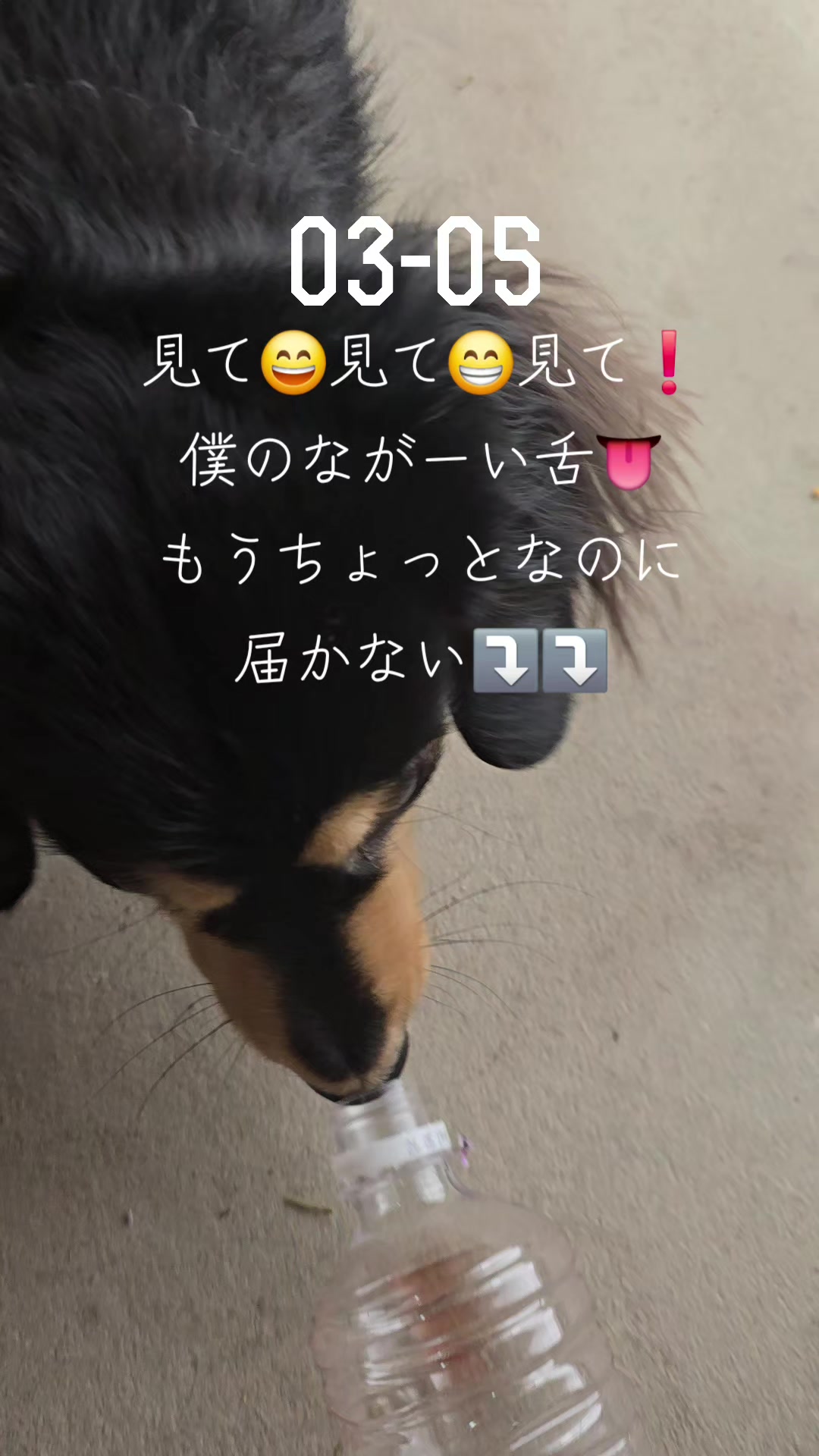 @hiro110