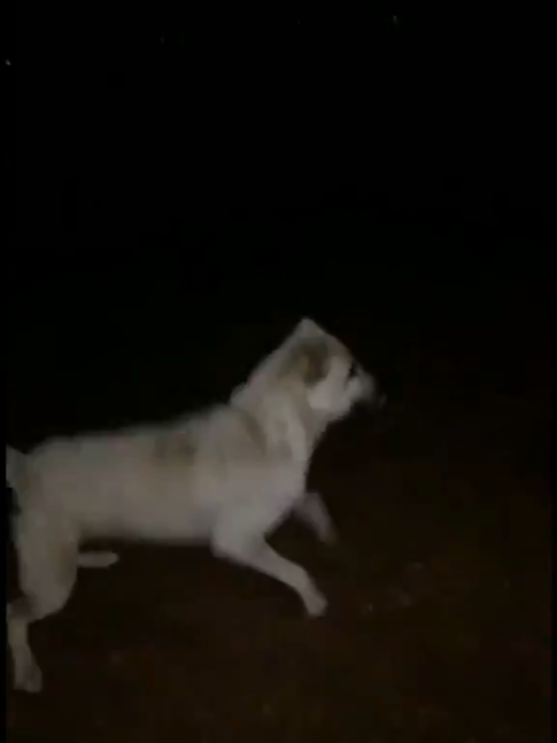@Erkan &ccedil;iftci