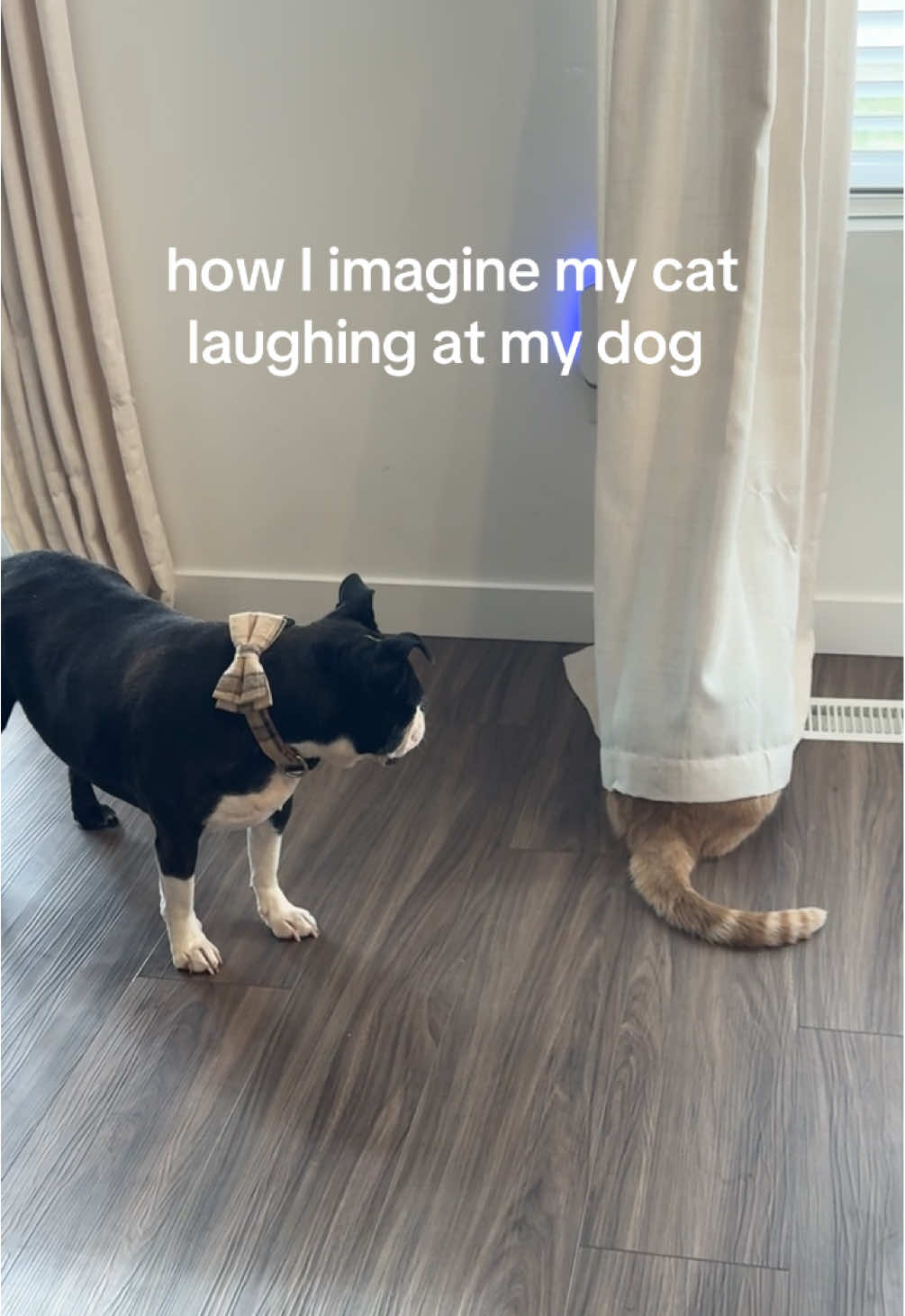 @us_thefour