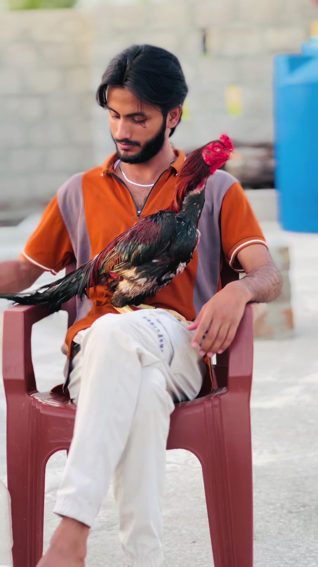 @👑عثمان اصیل 👑