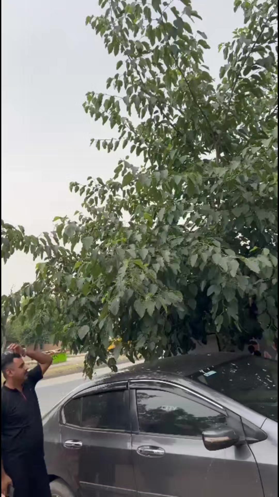 @Shahzad Raja