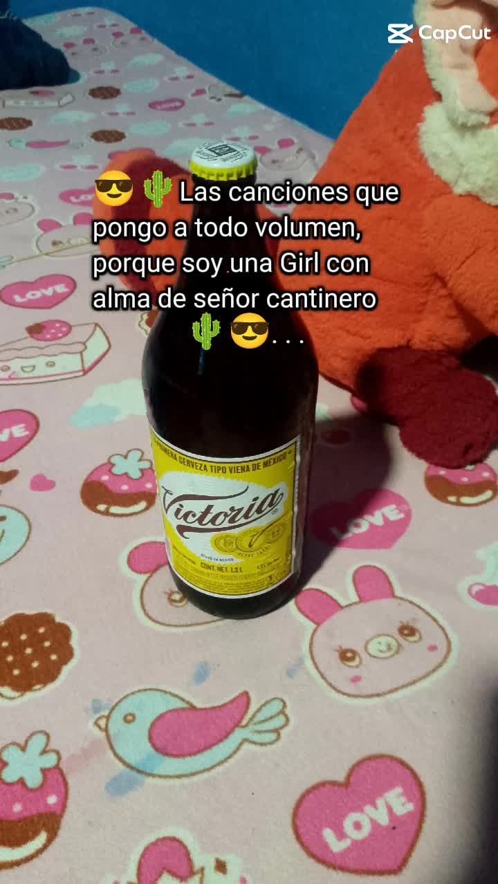 @laura lopes