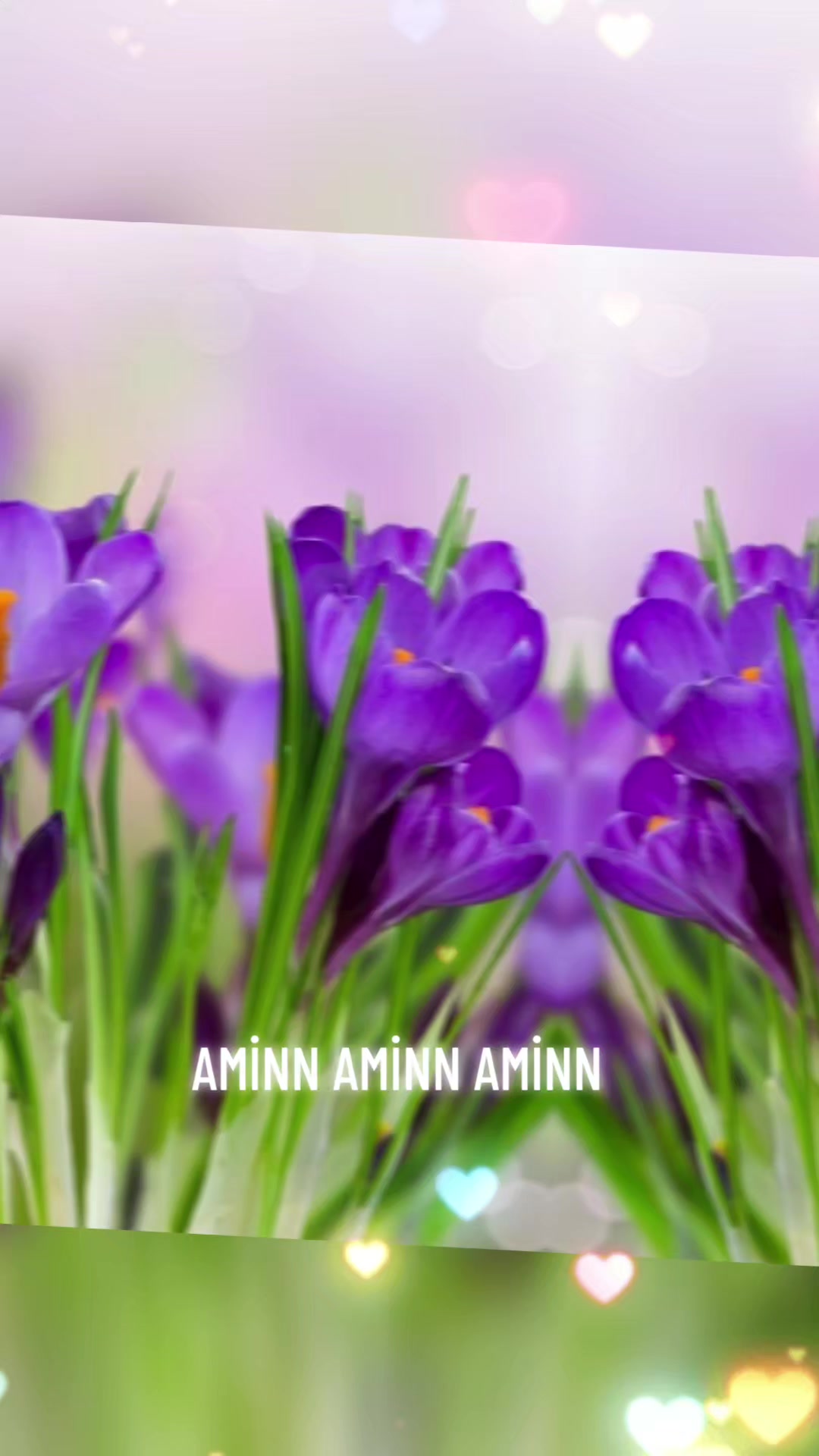 @*❀✿*🅴🆂🅼🅰4040*✿❀*
