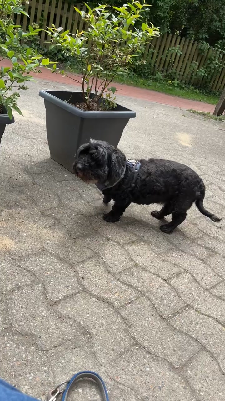 @marlqyr.snoopy🗯️