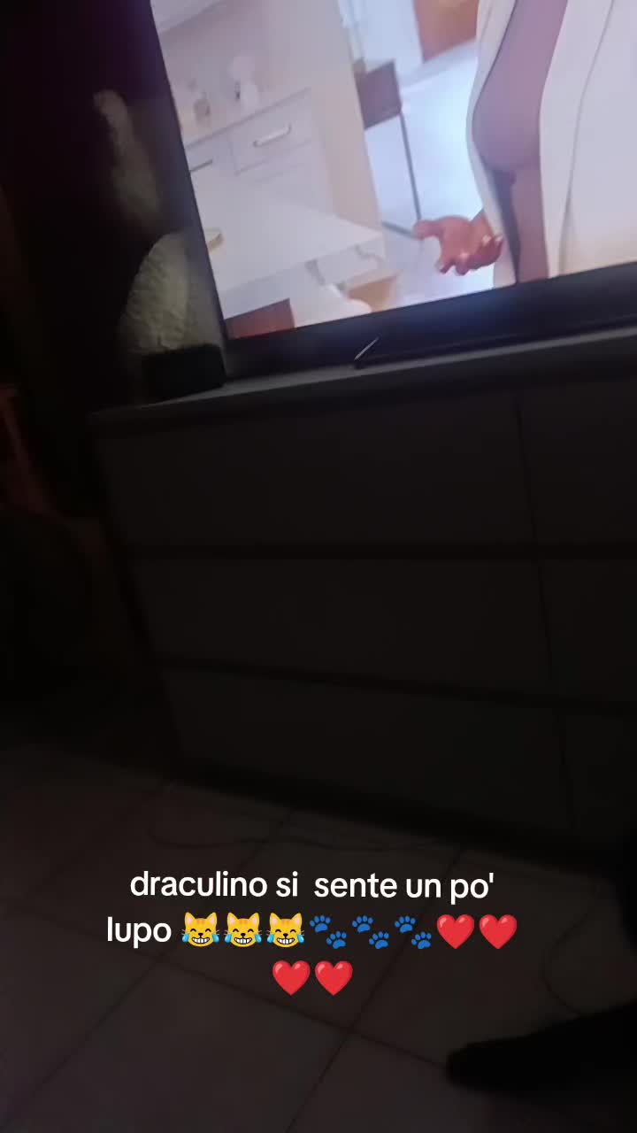 @Stefania Basla