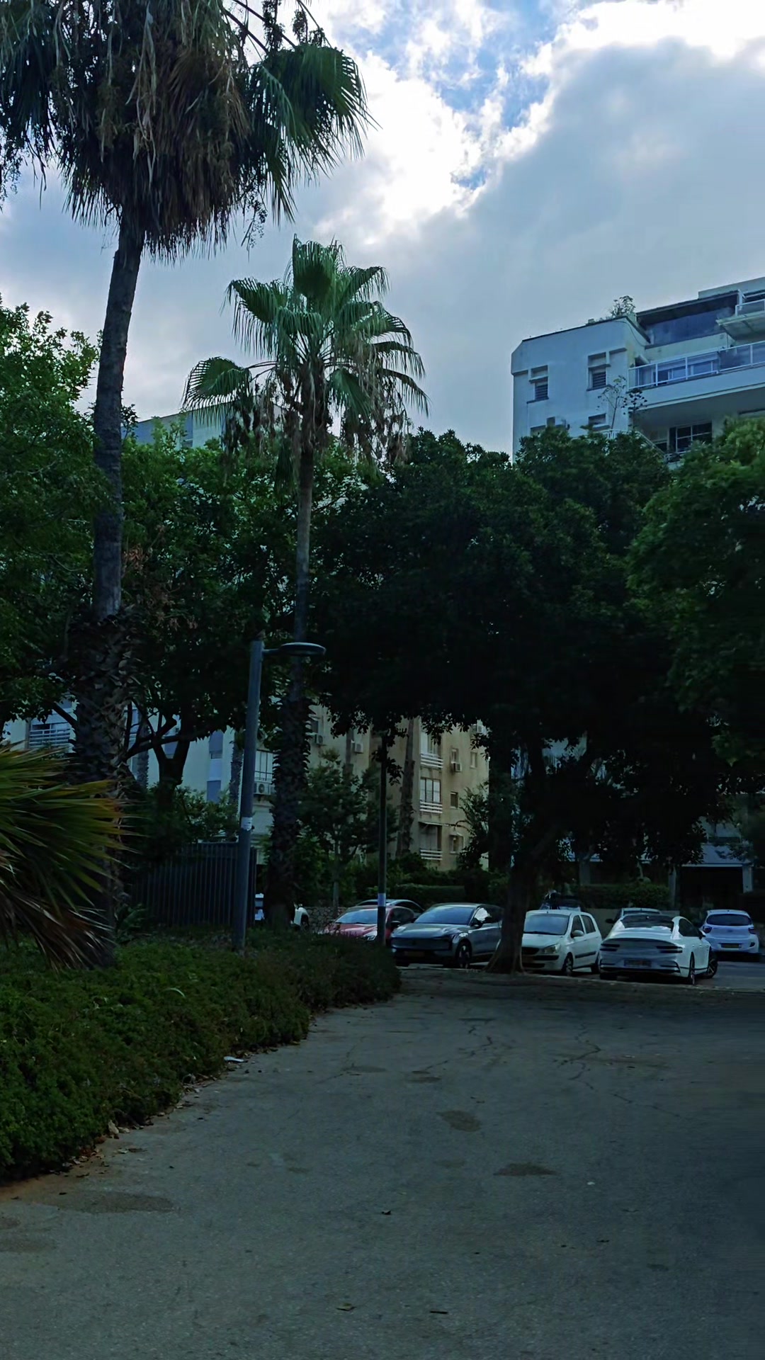 @Лена Одесса-РишонЛецион