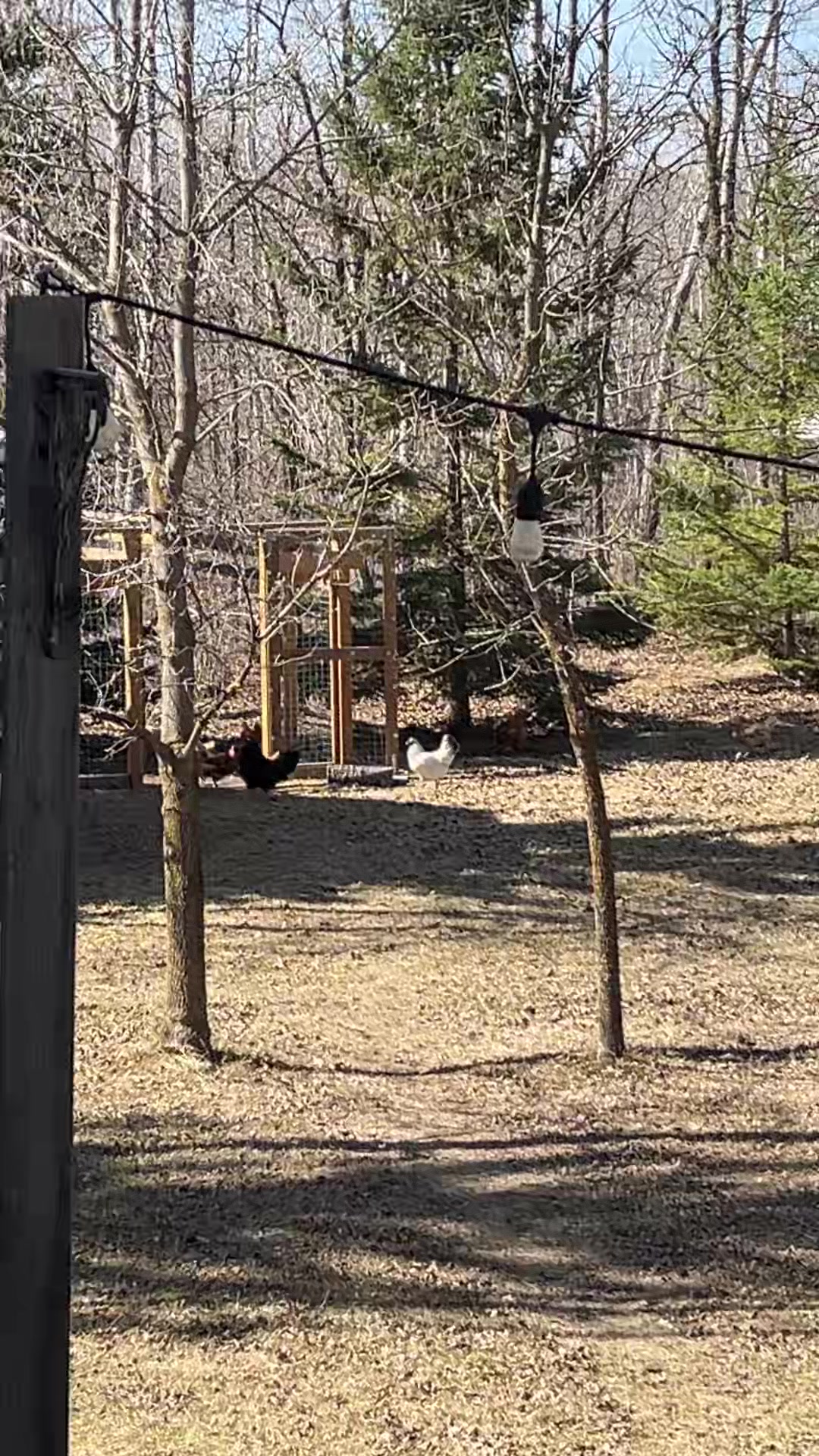 @The Fisher Farm 🇨🇦