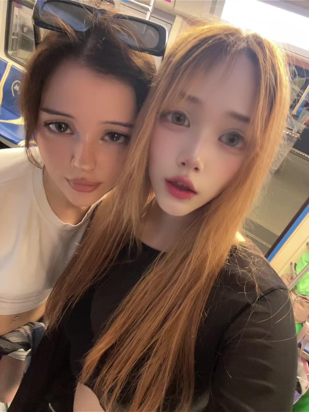 @лацертида
