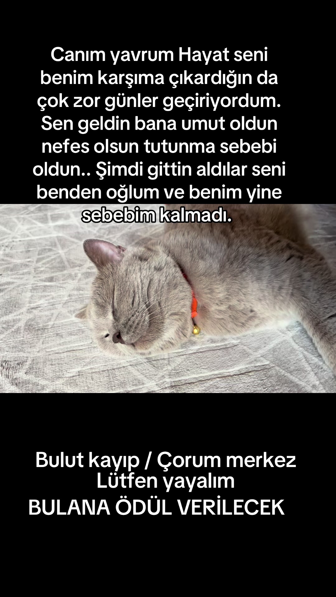 @BULUT KAYIP