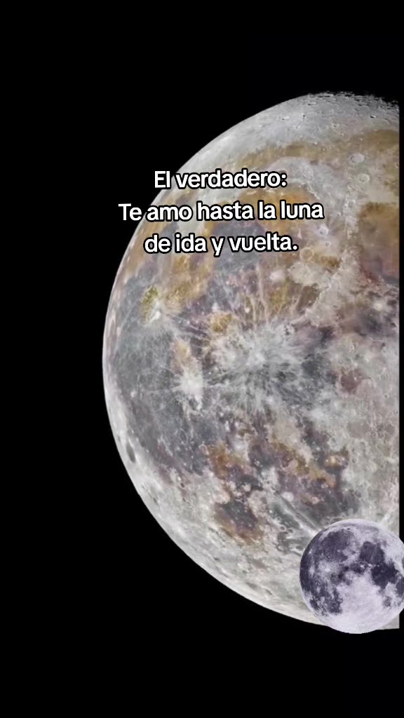 @prisci28