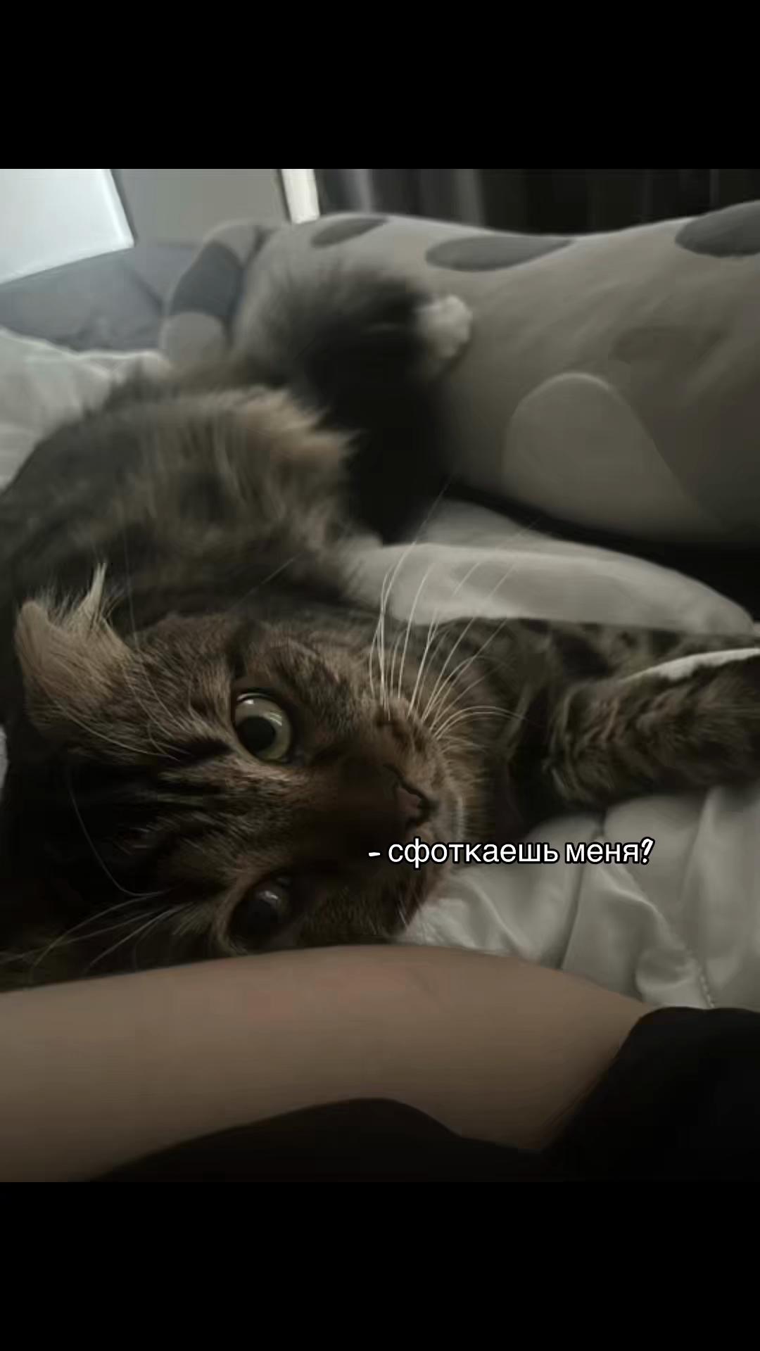 @санчик^_−☆