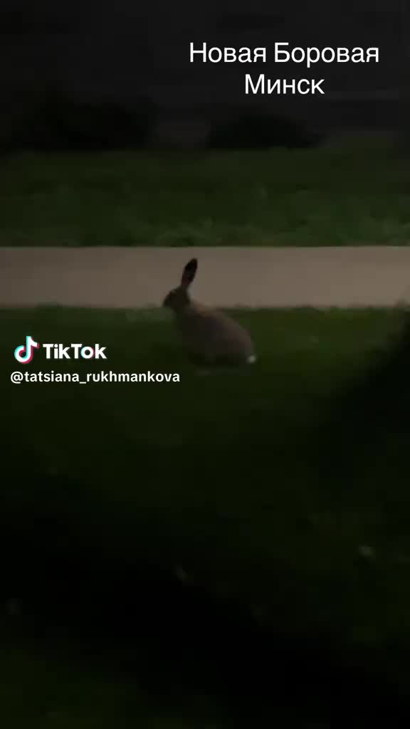 @Боровляны|Новости🌳