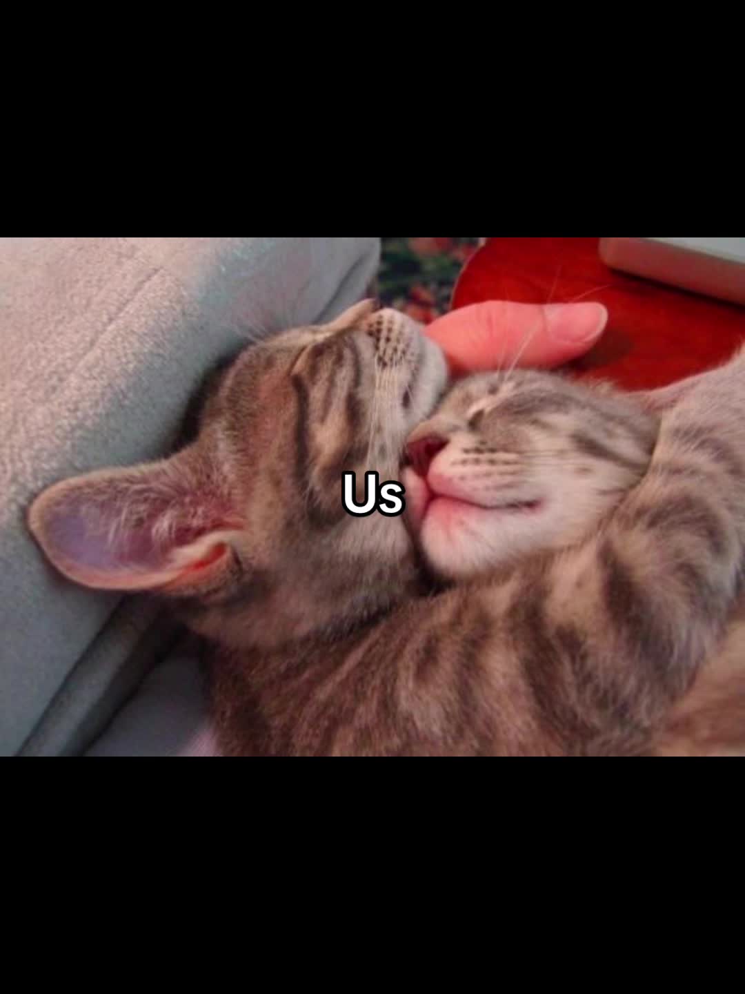 @cupcake