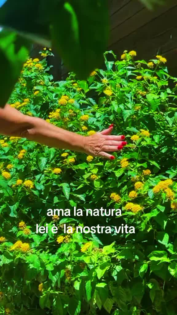 @anna lupoli