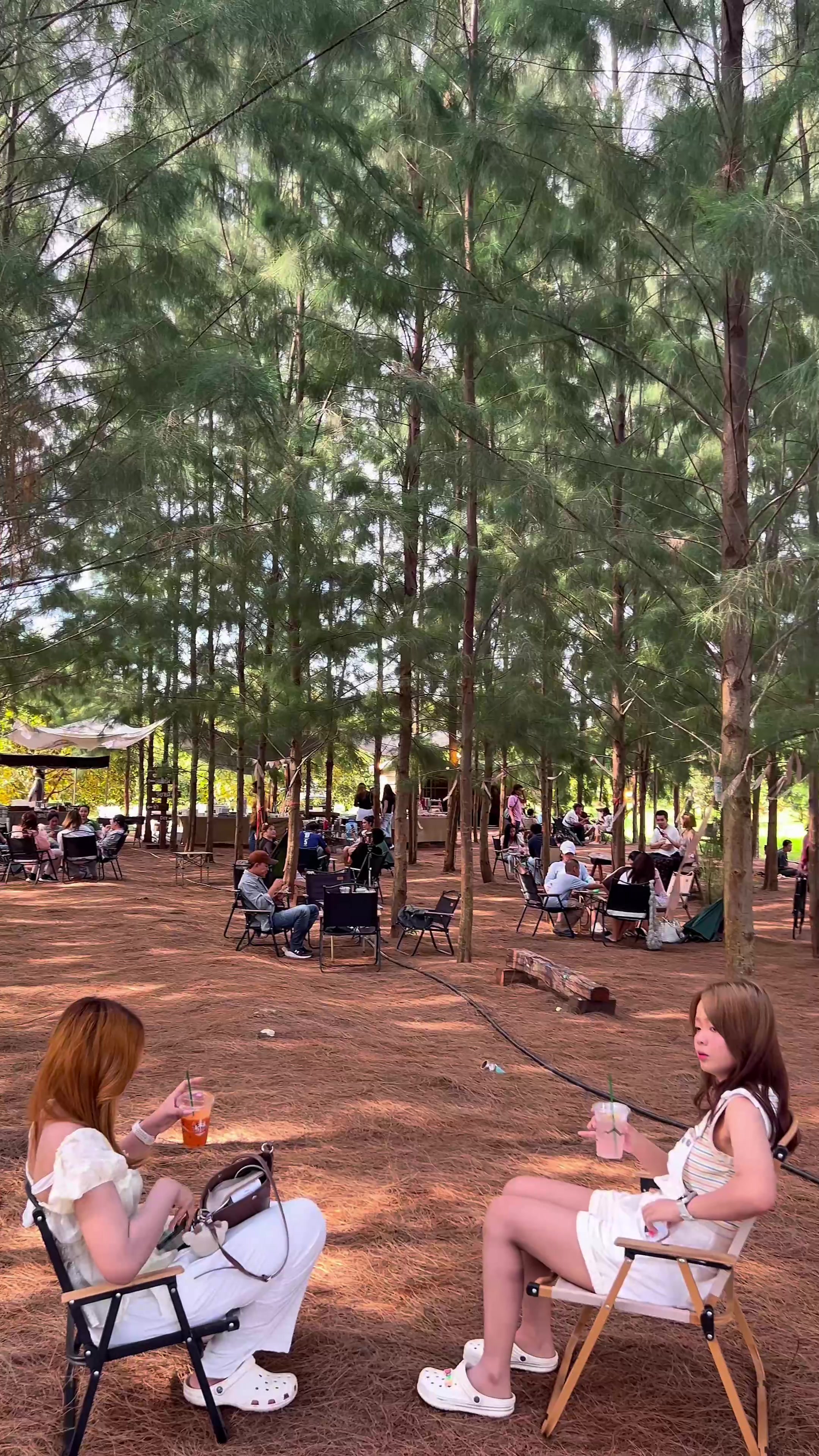 @ไร่วันยังขำ Oneyoungkham farm