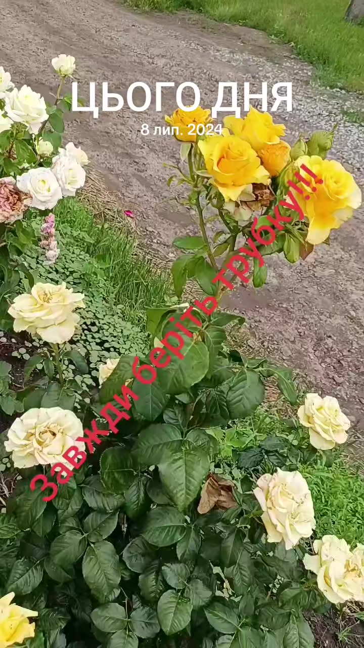@Сокур НадіЯ