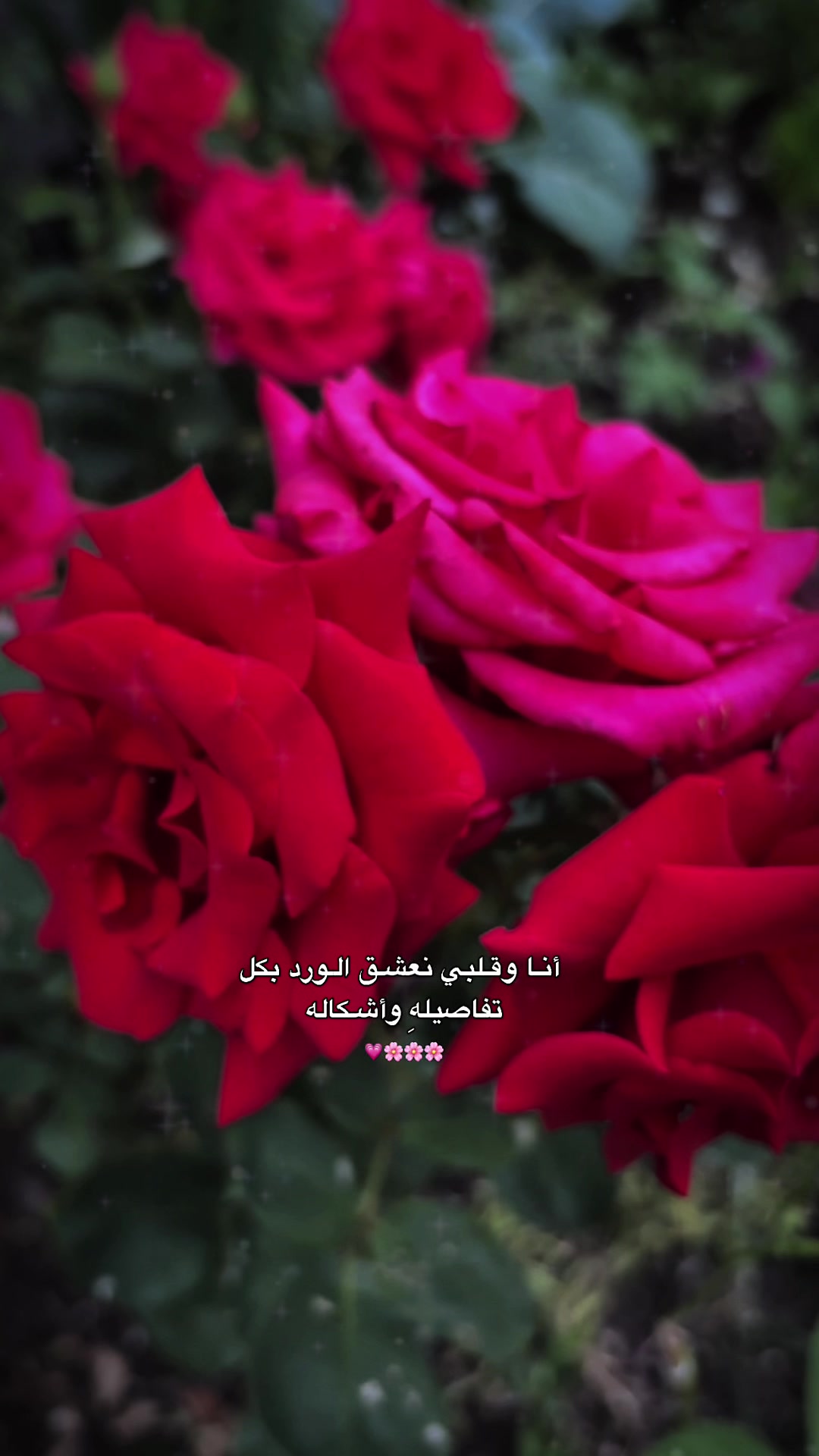 @ɴᴇʀᴠɪɴ|🫀