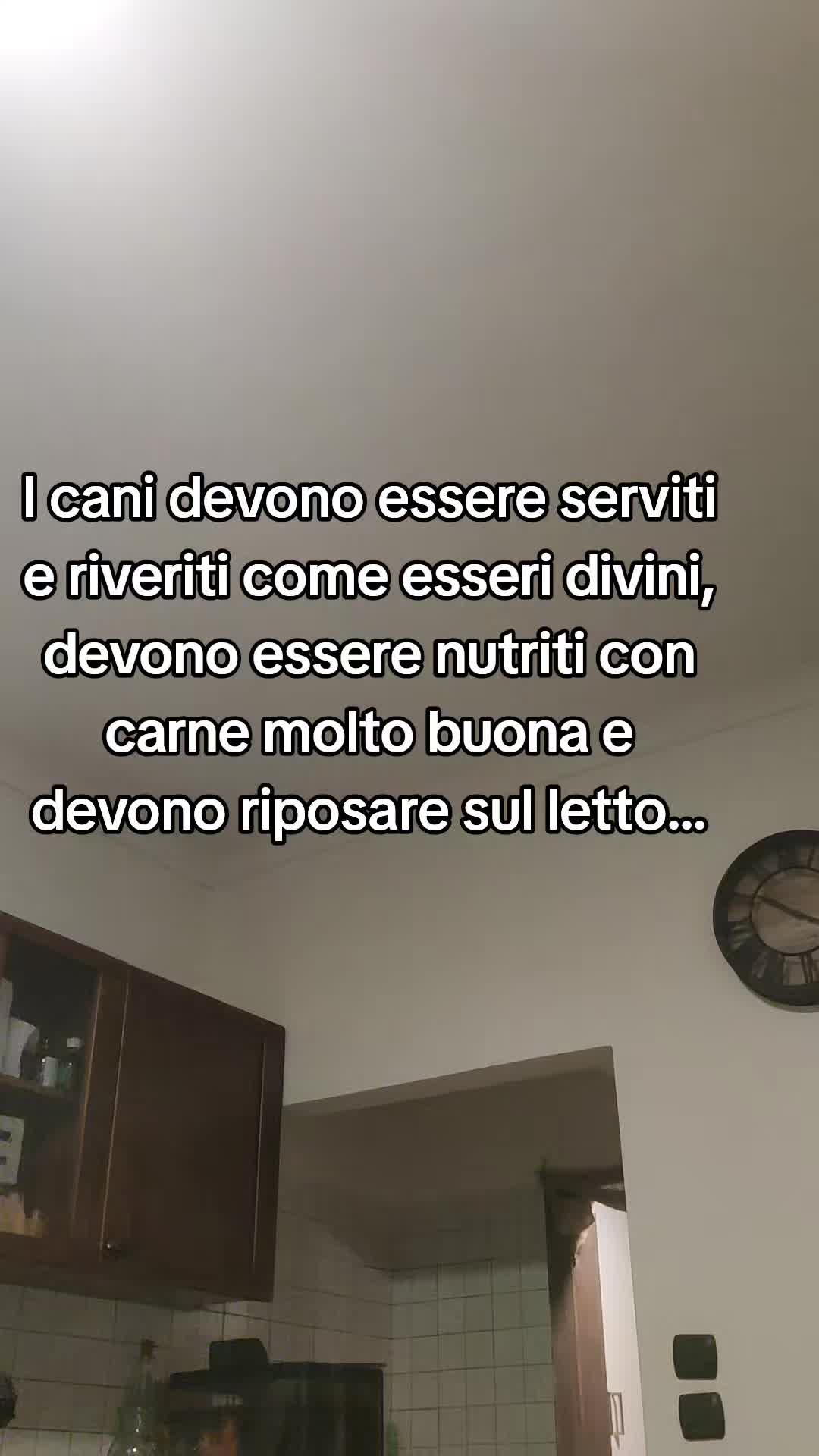 @ho.adottato.un.canesordo