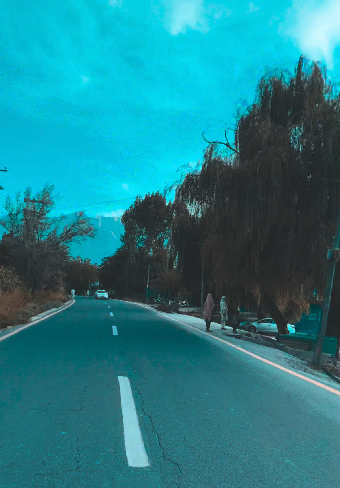 @reelsbyshigri