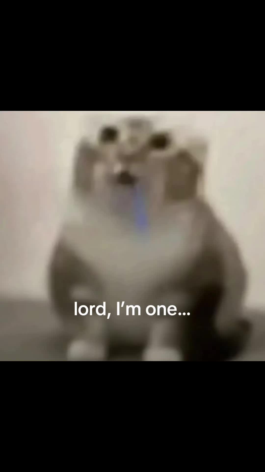 @kitti🐾🐾