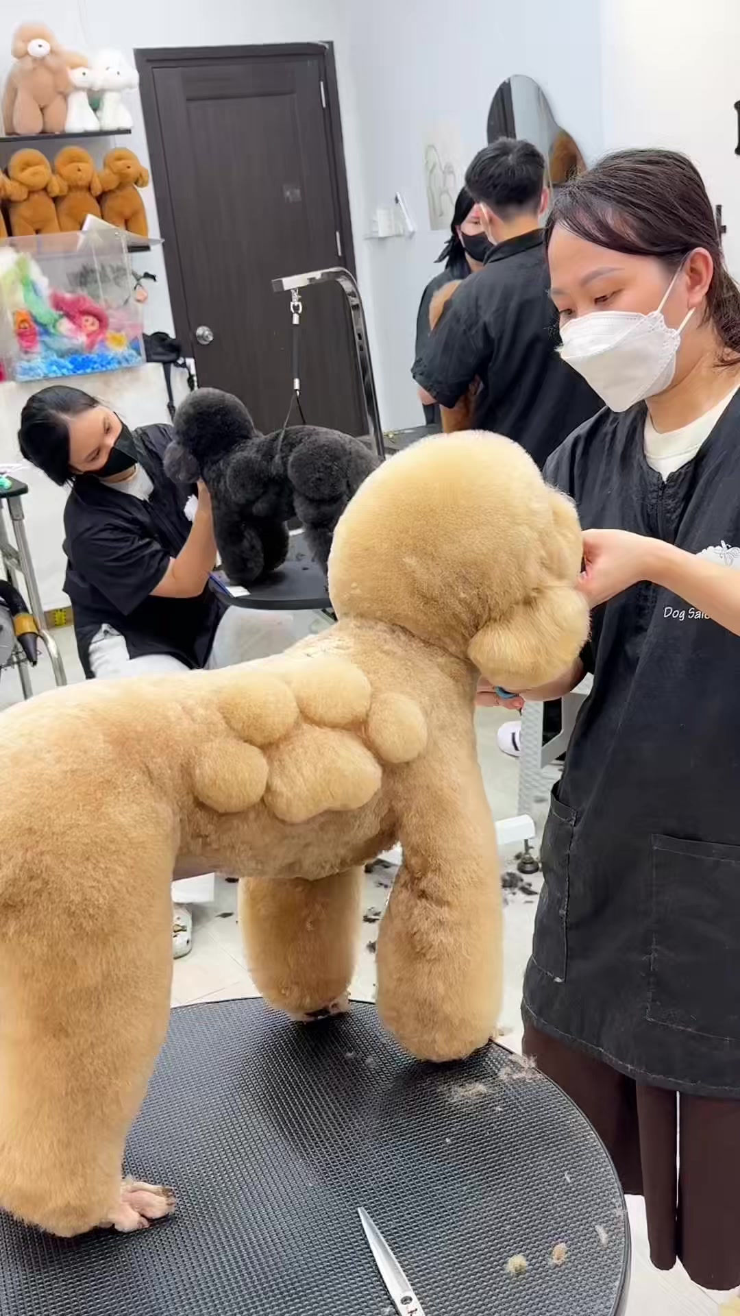 @TuongVan Petstylist