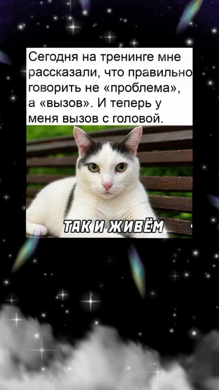 @๐๐๐ช๐ฝ๐ฝ๐ฝ๐ฒ ๐