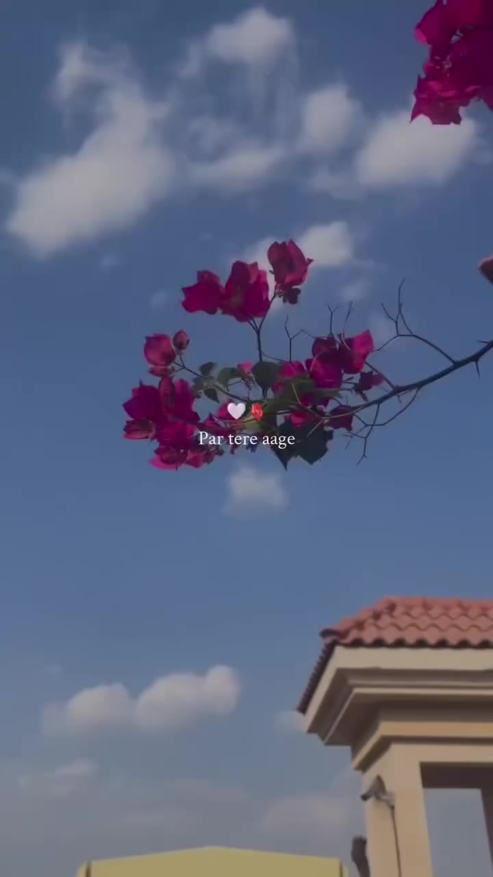 @아즈하르 𓆩♡𓆪