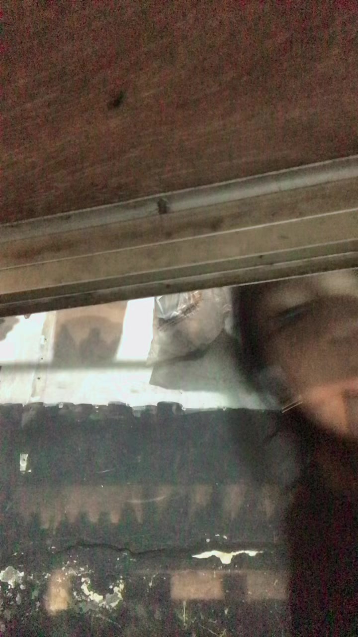 @liusanggal94_4