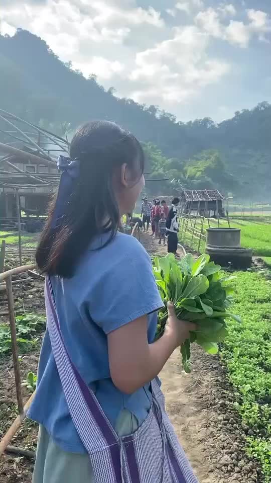 @Tasisi