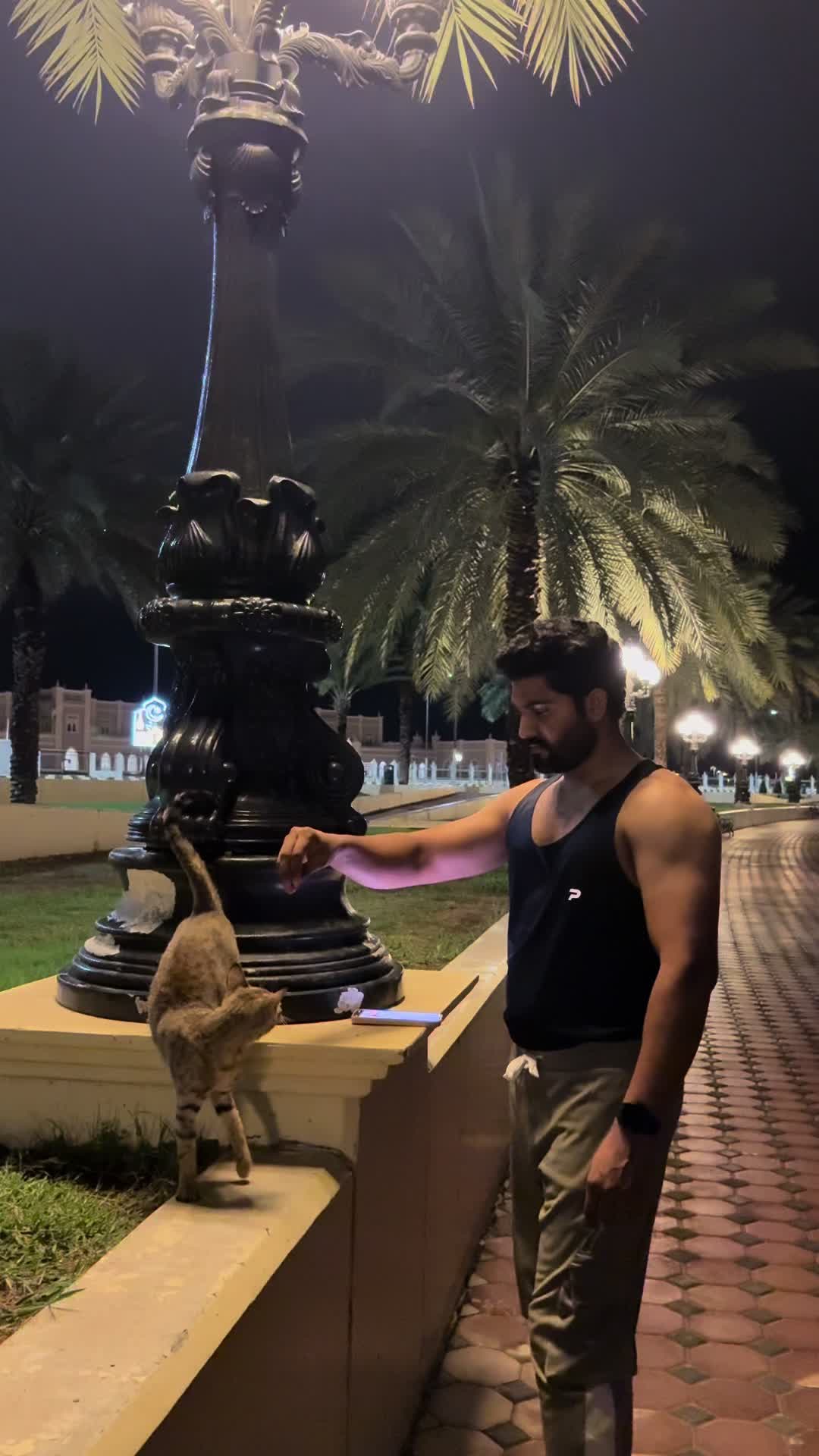 @Sheraz 🦅