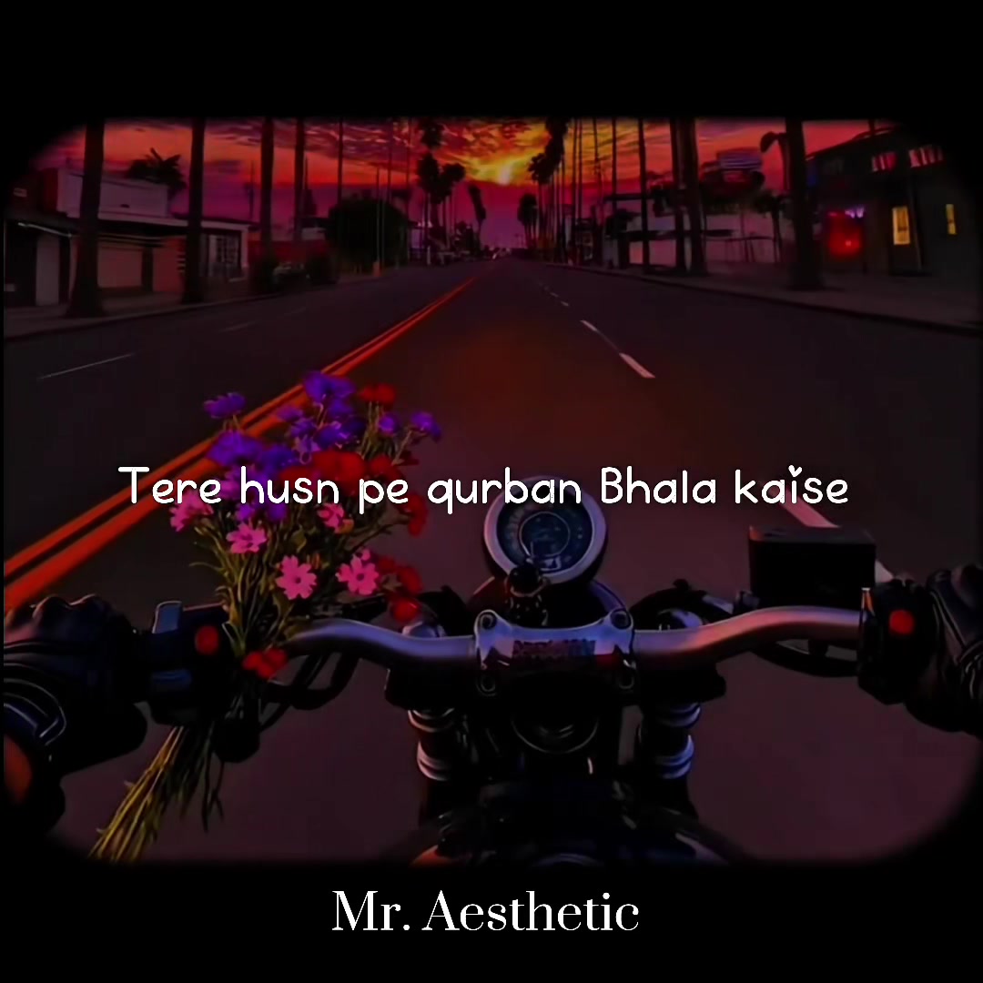 @Mr. Aesthetic