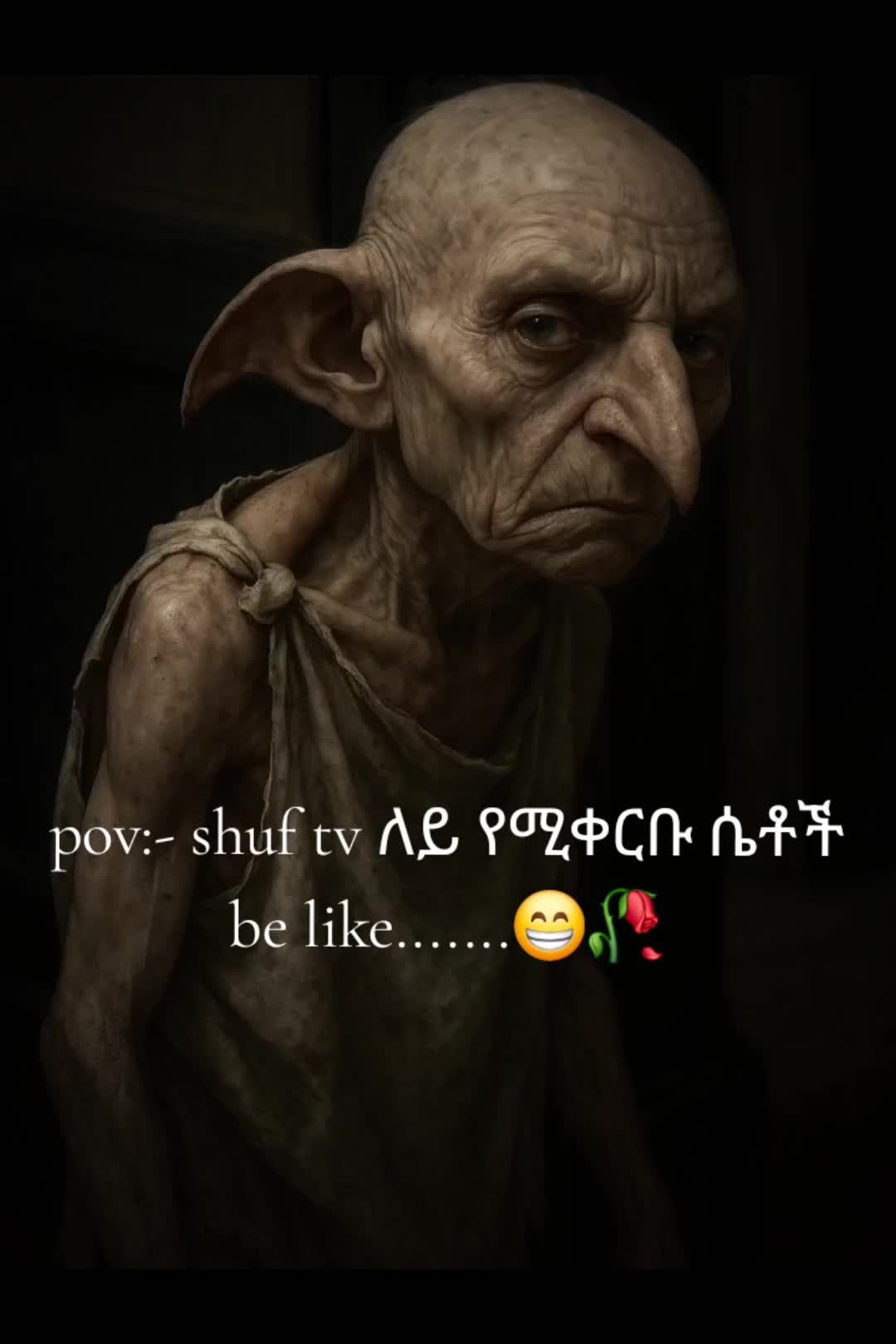@RAS_santa🔮