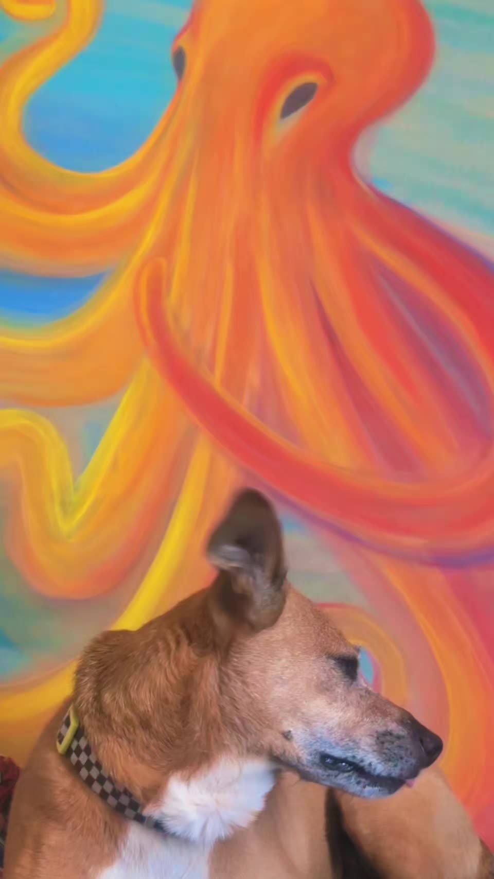 @LauraArtfulNature✌️💜🖌️🎨🌎🦋