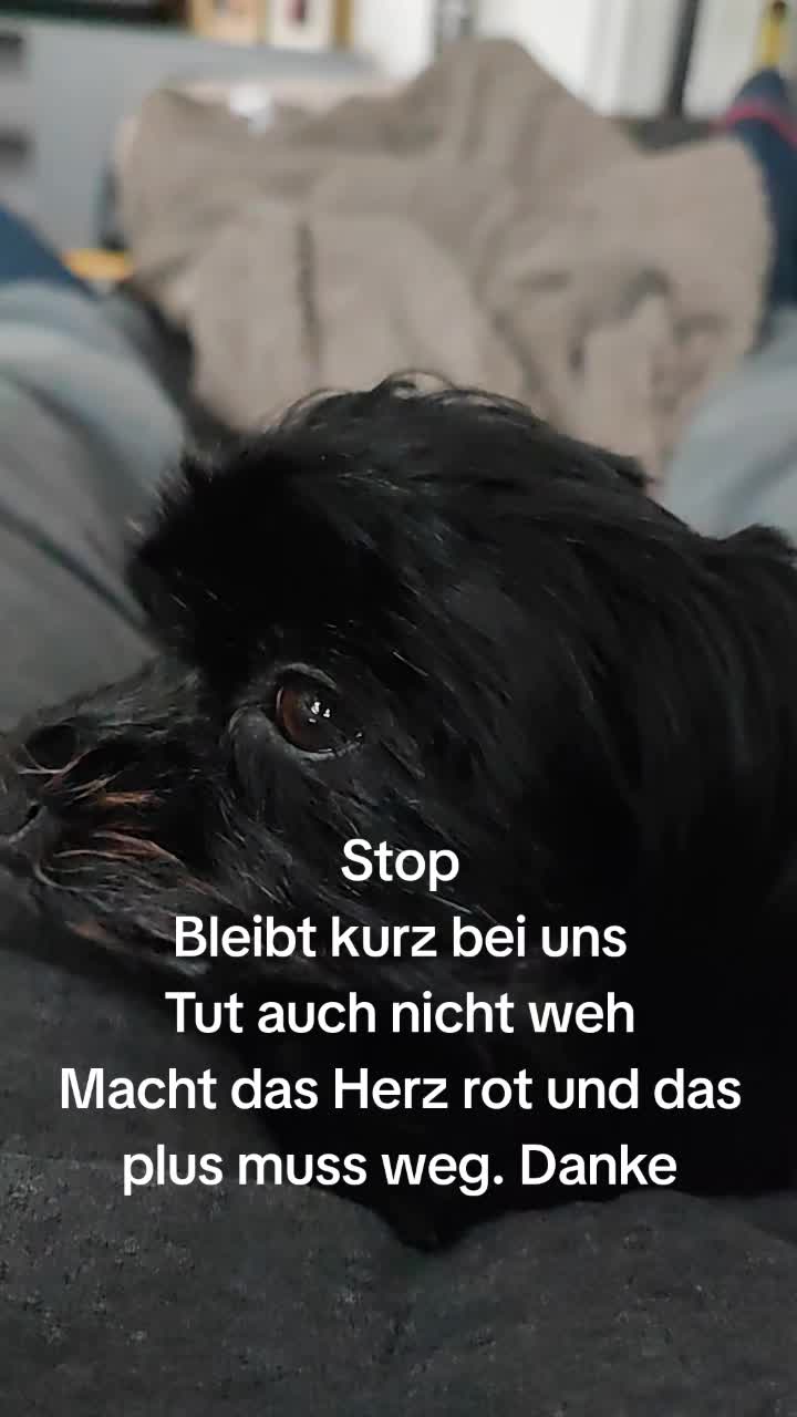 @P&ouml;ppi