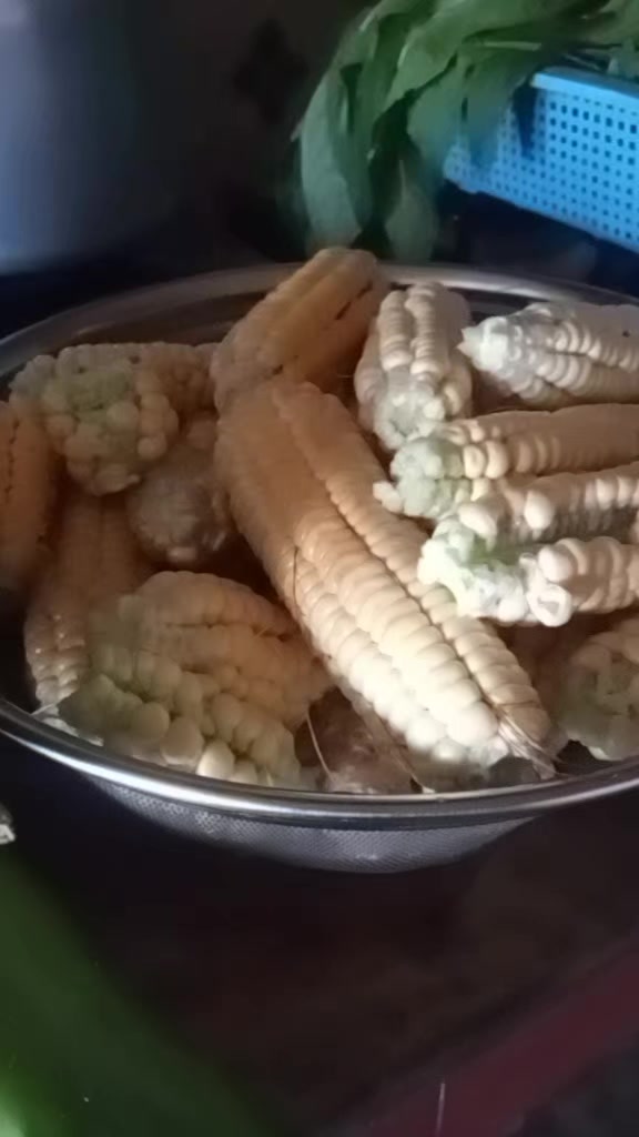 @kalimaya_, Tamang