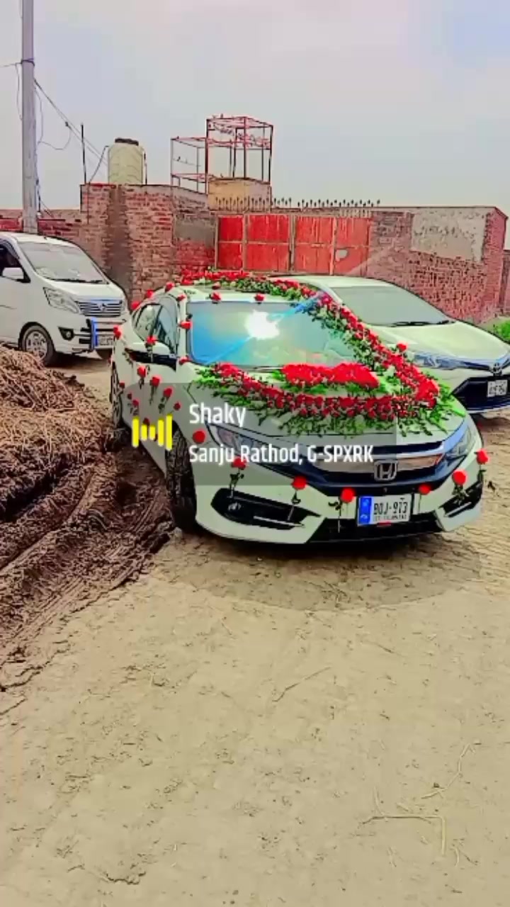 @گادیNNS