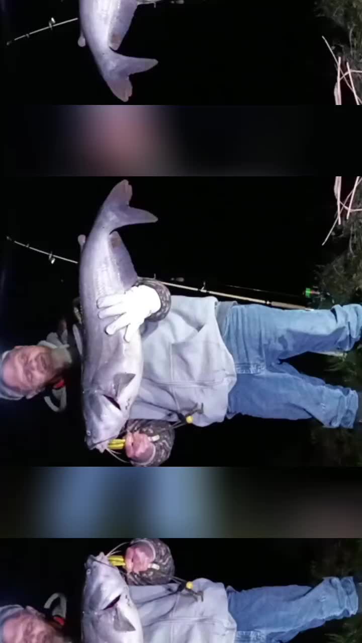 @Mike🎶🦈