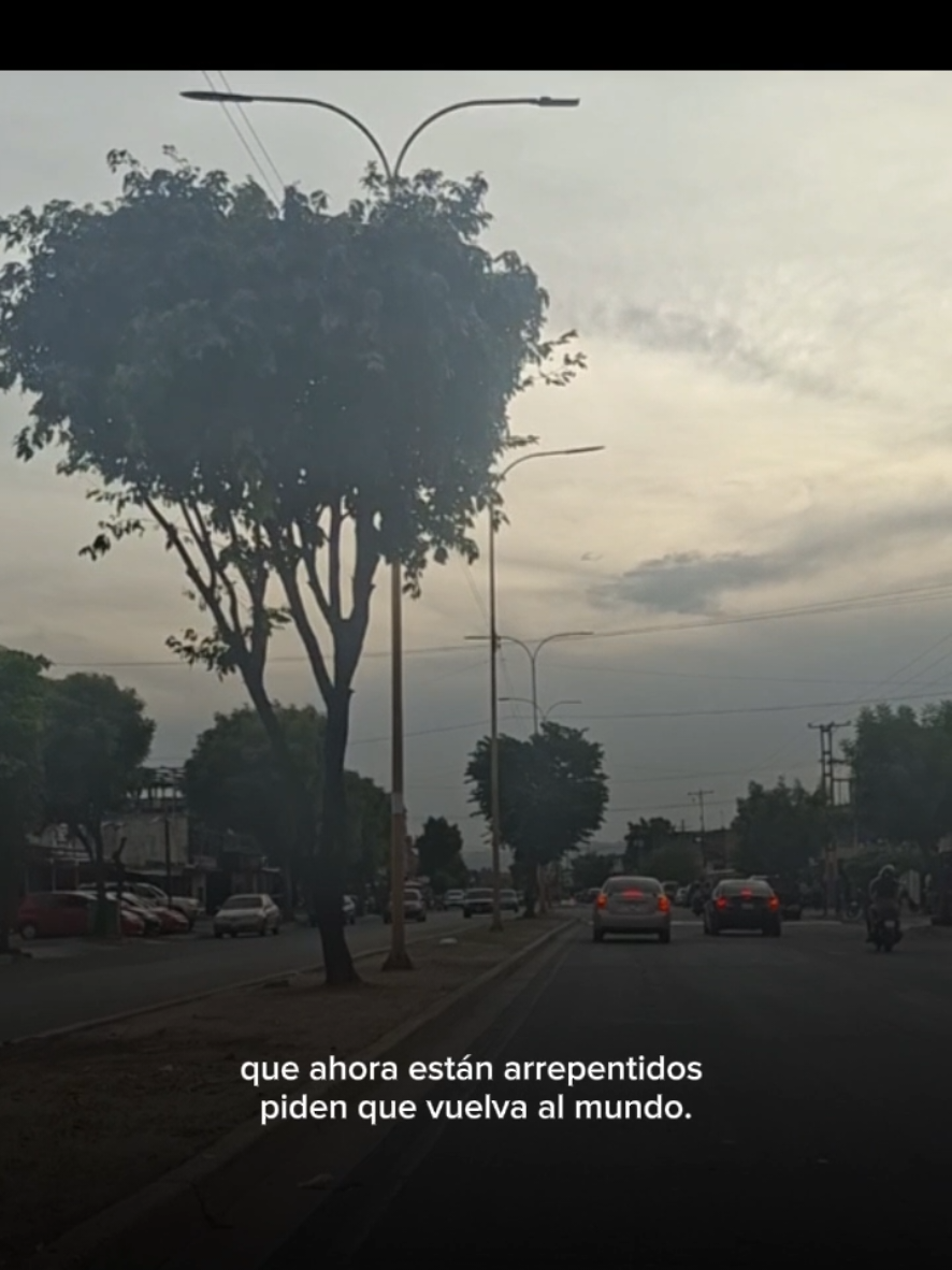 @Eliezer_Cantero 〽️