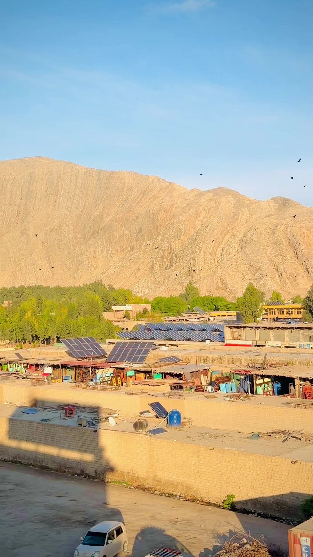 @🇦🇫 Hilal🫶👑🫶Shinwari🇦🇫 ✅